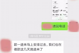 金家庄为什么选择专业追讨公司来处理您的债务纠纷？